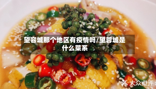望容城那个地区有疫情吗/望蓉城是什么菜系