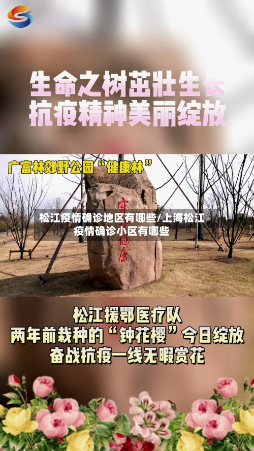 松江疫情确诊地区有哪些/上海松江疫情确诊小区有哪些
