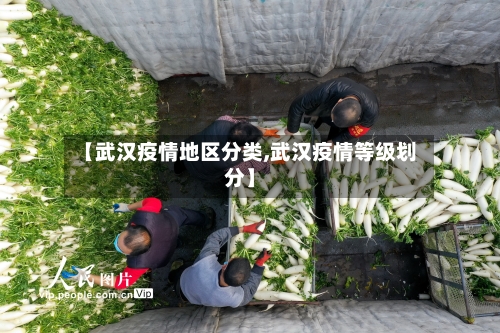 【武汉疫情地区分类,武汉疫情等级划分】