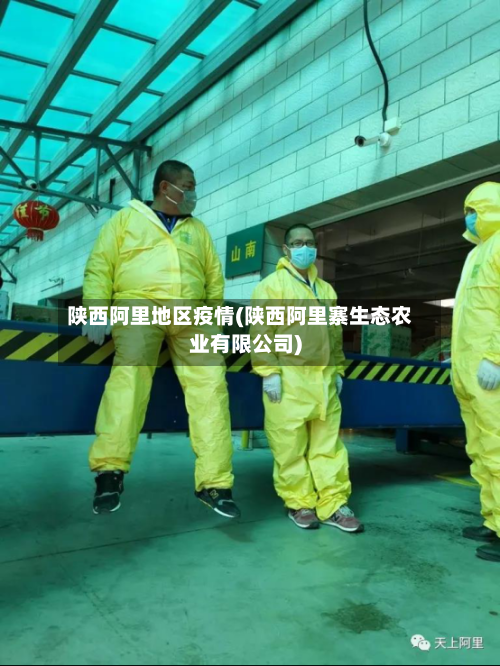 陕西阿里地区疫情(陕西阿里寨生态农业有限公司)