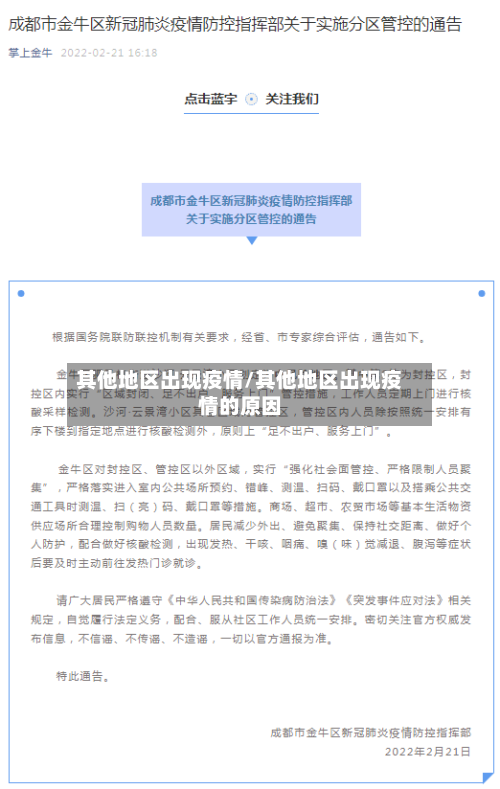 其他地区出现疫情/其他地区出现疫情的原因