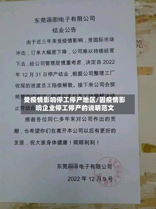 受疫情影响停工停产地区/因疫情影响企业停工停产的说明范文