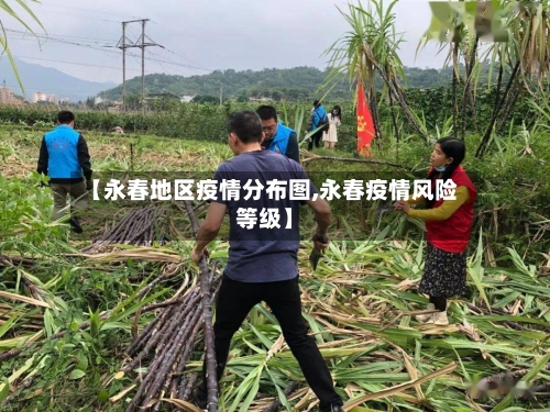 【永春地区疫情分布图,永春疫情风险等级】