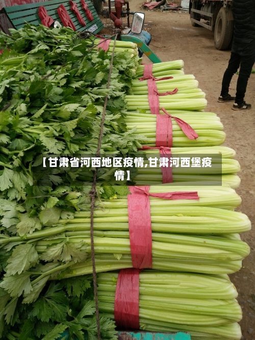【甘肃省河西地区疫情,甘肃河西堡疫情】