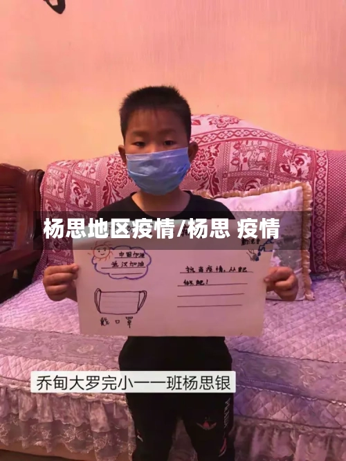 杨思地区疫情/杨思 疫情
