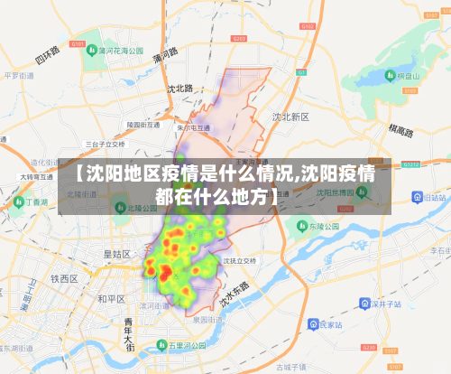 【沈阳地区疫情是什么情况,沈阳疫情都在什么地方】
