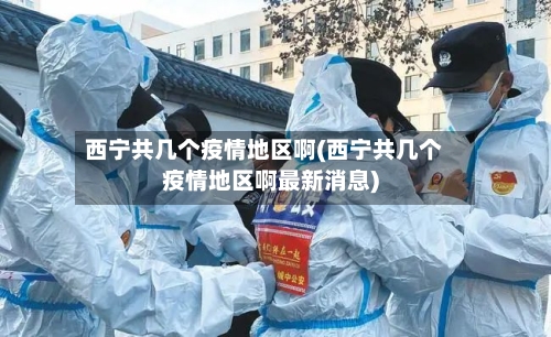 西宁共几个疫情地区啊(西宁共几个疫情地区啊最新消息)