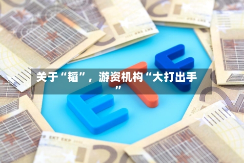 关于“韬”，游资机构“大打出手”