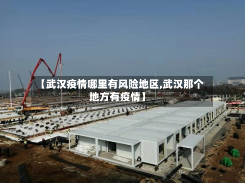 【武汉疫情哪里有风险地区,武汉那个地方有疫情】
