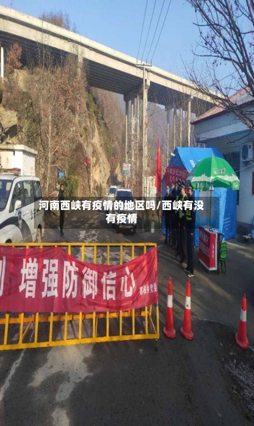 河南西峡有疫情的地区吗/西峡有没有疫情
