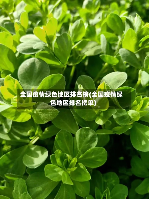全国疫情绿色地区排名榜(全国疫情绿色地区排名榜单)