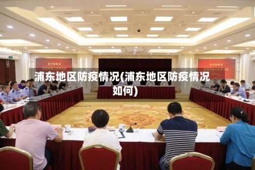 浦东地区防疫情况(浦东地区防疫情况如何)