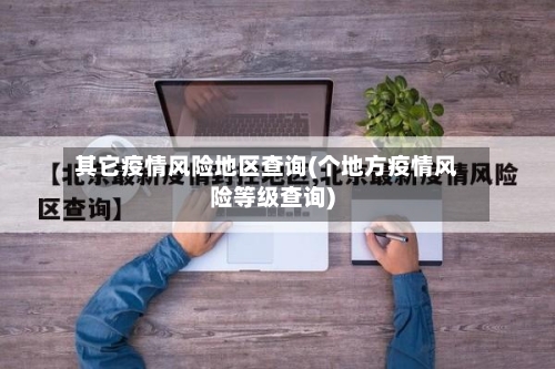 其它疫情风险地区查询(个地方疫情风险等级查询)