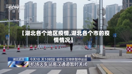 【湖北各个地区疫情,湖北各个市的疫情情况】