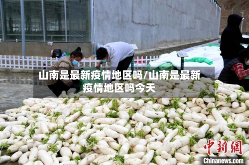 山南是最新疫情地区吗/山南是最新疫情地区吗今天