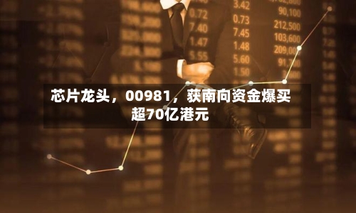 芯片龙头,00981,获南向资金爆买超70亿港元