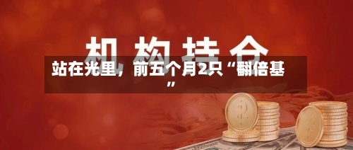 站在光里,前五个月2只“翻倍基”