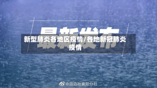 新型肺炎各地区疫情/各地新冠肺炎疫情