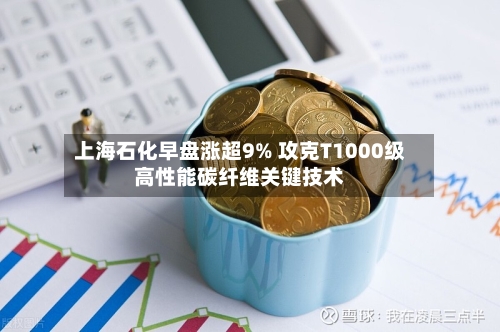 上海石化早盘涨超9% 攻克T1000级高性能碳纤维关键技术