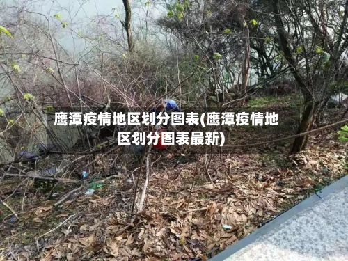 鹰潭疫情地区划分图表(鹰潭疫情地区划分图表最新)