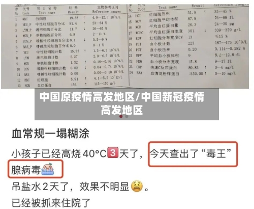 中国原疫情高发地区/中国新冠疫情高发地区
