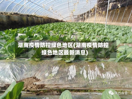 湖南疫情防控绿色地区(湖南疫情防控绿色地区最新消息)