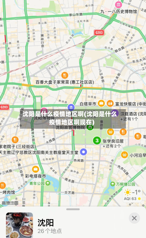 沈阳是什么疫情地区啊(沈阳是什么疫情地区啊现在)