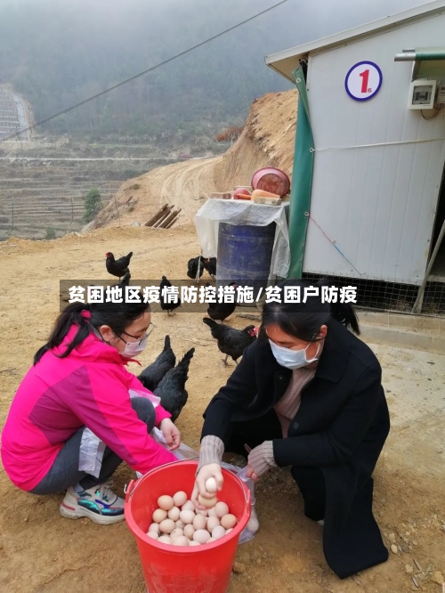 贫困地区疫情防控措施/贫困户防疫