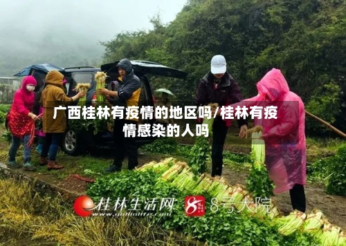 广西桂林有疫情的地区吗/桂林有疫情感染的人吗