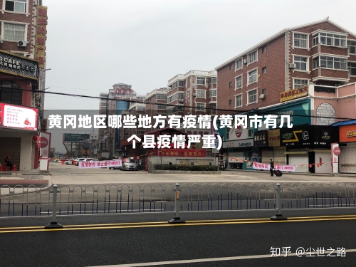 黄冈地区哪些地方有疫情(黄冈市有几个县疫情严重)