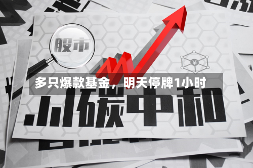 多只爆款基金，明天停牌1小时